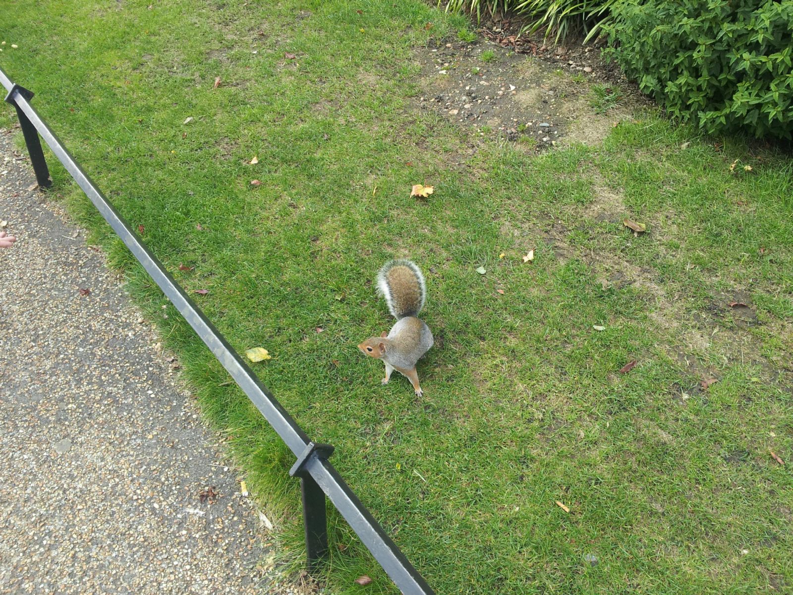 Hyde Park